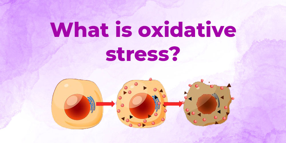 oxidative stress