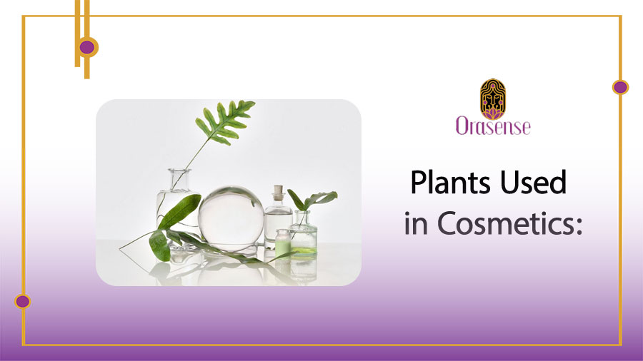 Plants Used in Cosmetics