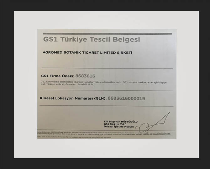 Picture Frame Transparent Background GS1