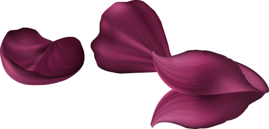 land-slider-img-10 land-slider-img-10